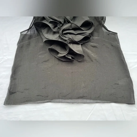 H&M | Sheer Ruffle Sleeveless Top - Picture 8 of 16